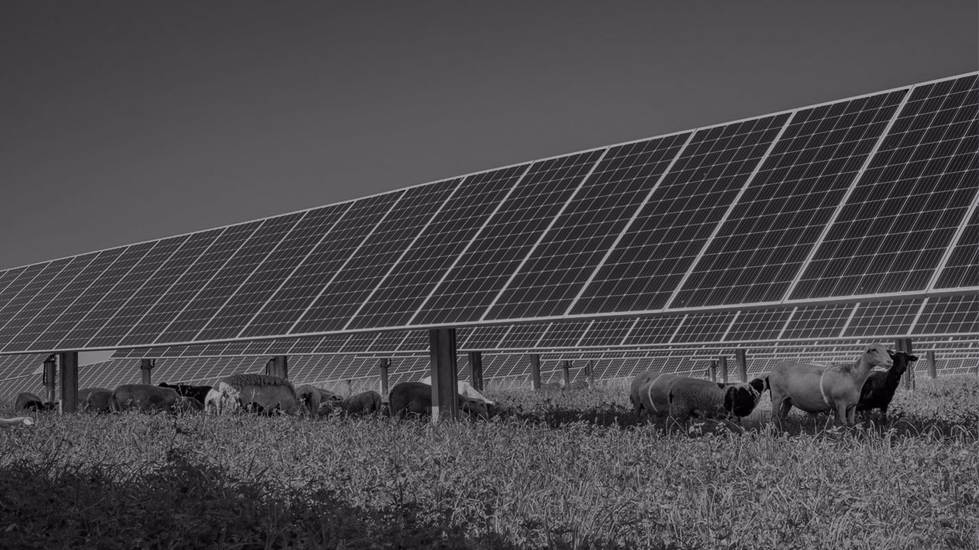 Field systems integration for ‘SolarCo’-banner