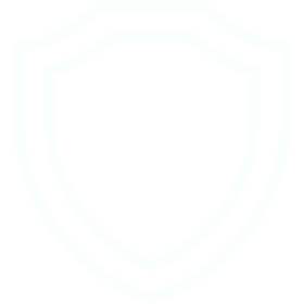 defence-and-national-security-icon